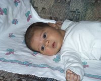 gal17.jpg (8795 bytes)